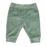 Baby Boys 3 Piece Plush Pant Set: Green Dinosaur